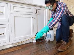 Best Real Estate Pest Inspections  in Upland, PA